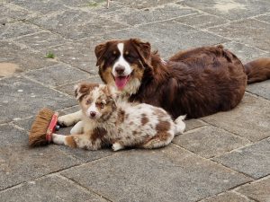 WhatsApp Image 2025-06-06 at 17.50.59