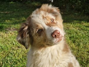 WhatsApp Image 2025-06-12 at 18.47.03 (2)