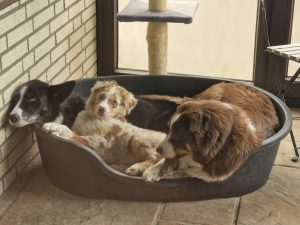 WhatsApp Image 2025-06-23 at 08.31.19